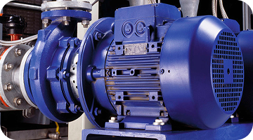 Frame 1430104046 (1)